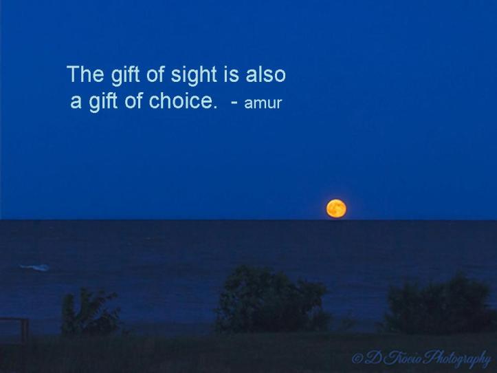 The gift of sight is also a gift of choice